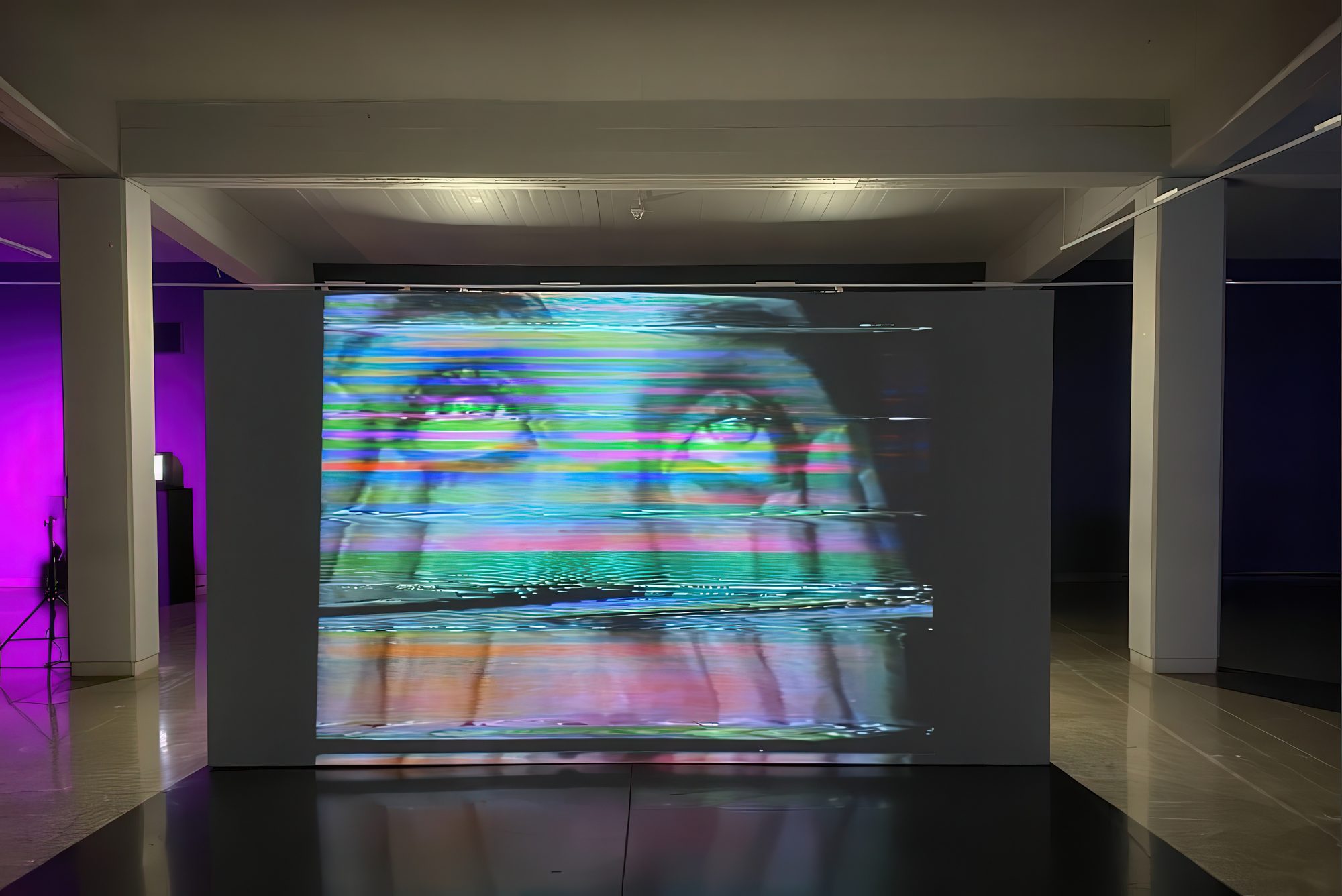 17 BIENAL DE VIDEO Y ARTES MEDIALES, imagen 1